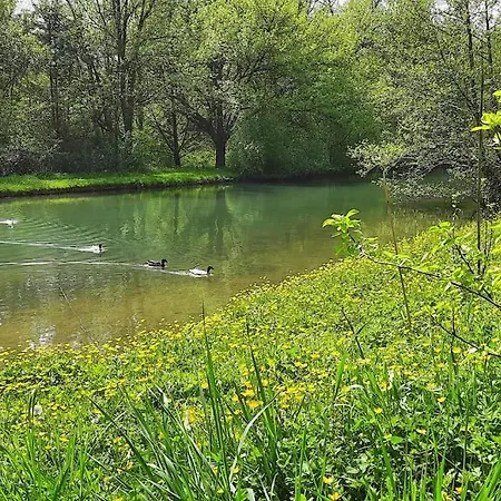 Pyrenees Pleine Nature Jacuzzi 4/5 Pers. Holiday home Bruges-Capbis-Mifaget