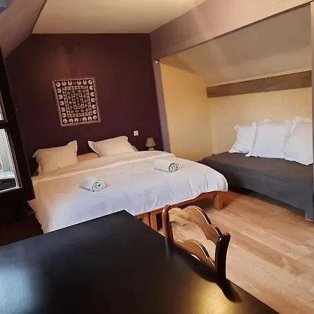 Pyrenees Pleine Nature Jacuzzi 4/5 Pers. Holiday home