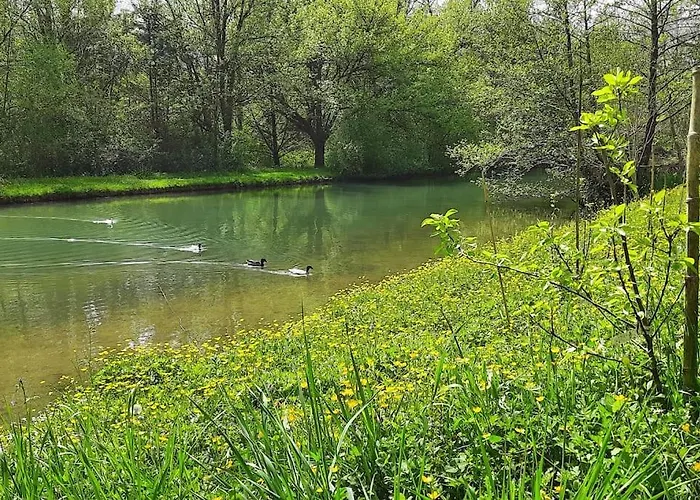 Pyrenees Pleine Nature Jacuzzi 4/5 Pers. 펜션 Bruges-Capbis-Mifaget